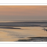 Crépuscule depuis le panorama sur la baie de Somme au Crotoy et pêcheurs de crevettes au haveneau