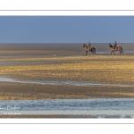 Cavalières en promenade dans la baie à marée basse (Baie de Somme)