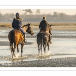 Cavalières en promenade dans la baie à marée basse (Baie de Somme)