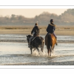 Cavalières en promenade dans la baie à marée basse (Baie de Somme)