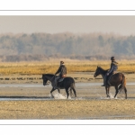 Cavalières en promenade dans la baie à marée basse (Baie de Somme)