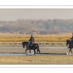 Cavalières en promenade dans la baie à marée basse (Baie de Somme)