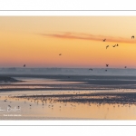 Aube sur la baie de Somme depuis les quais de Saint-Valery