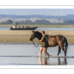 Eleveurs de chevaux promènent et entrainent leur monture