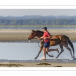 Eleveurs de chevaux promènent et entrainent leur monture