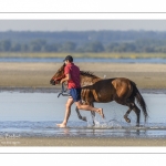 Eleveurs de chevaux promènent et entrainent leur monture