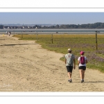 Promeneurs parmi les lilas de mer