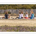 Séance de relation en baie de somme