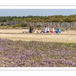 Séance de relation en baie de somme