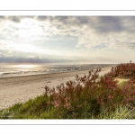 Le plage du Crotoy un soir de printemps