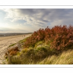 Le plage du Crotoy un soir de printemps