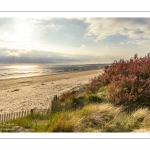 Le plage du Crotoy un soir de printemps