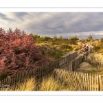 Le plage du Crotoy un soir de printemps