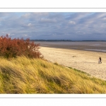 Le plage du Crotoy un soir de printemps