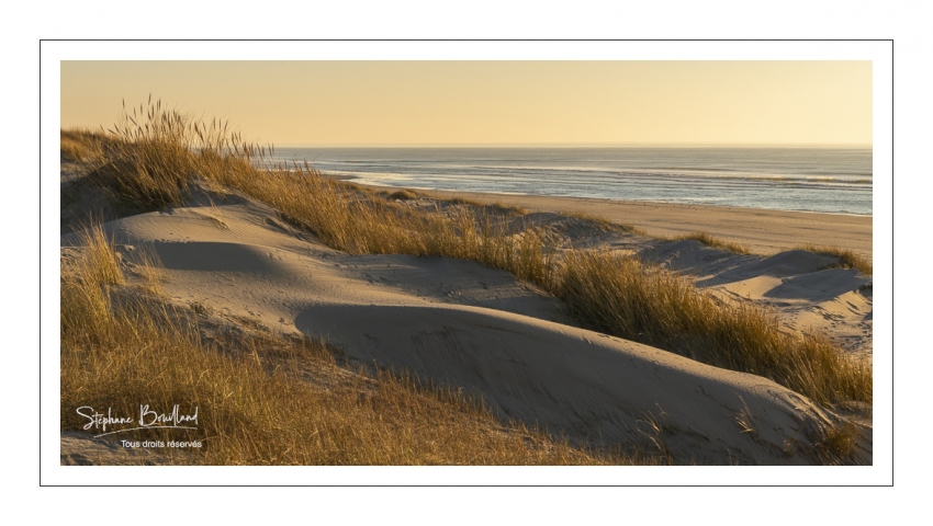 Les dunes du Marquenterre au sud de la baie d'Authie
