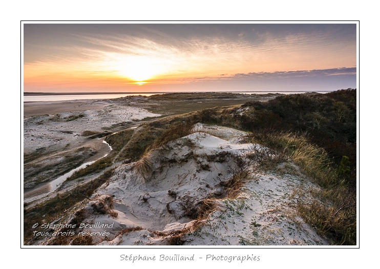 Baie_d_Authie_Groffliers_24_02_2014_013-border