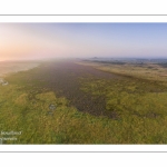 Survol de la Baie d'Authie depuis Fort-Mahon à marée basse.