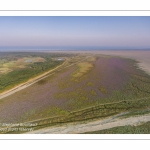 Survol de la Baie d'Authie depuis Fort-Mahon à marée basse.