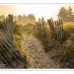 Entrée de passage dans les dunes du Crotoy
