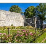 Promenade dans la vieille ville de Saint-Valery-sur-Somme