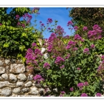 Promenade dans la vieille ville de Saint-Valery-sur-Somme