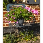 La vieille ville de Saint-Valery-sur-Somme