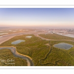 Les mollières de la Baie de Somme au petit matin (vue aérienne)