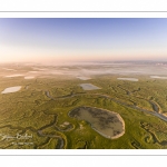 Les mollières de la Baie de Somme au petit matin (vue aérienne)