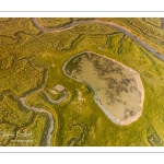 Les mollières de la Baie de Somme au petit matin (vue aérienne)