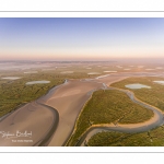 Les mollières de la Baie de Somme au petit matin (vue aérienne)