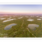 Les mollières de la Baie de Somme au petit matin (vue aérienne)