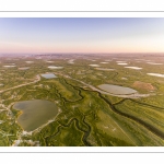 Les mollières de la Baie de Somme au petit matin (vue aérienne)