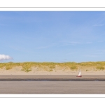 Chars à voile sur la plage de Quend-Plage