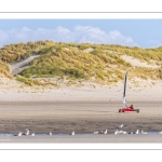 Chars à voile sur la plage de Quend-Plage