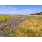 Le cap Hornu et la plage de Saint-Valery avec les lilas de mer