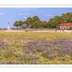 Le cap Hornu et la plage de Saint-Valery avec les lilas de mer