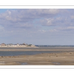 Observation des phoques à la pointe du Hourdel