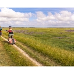 Le chemin entre le Cap Hornu et le Hourdel