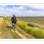 Le chemin entre le Cap Hornu et le Hourdel