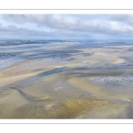 Mortalité des coques en baie de Somme