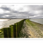 Cap hornu, éclaircie le long du chenal de la Somme