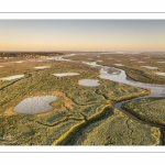 Les mollières face à Saint-Valery