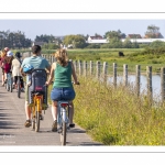 cyclistes sur la piste cyclable le long du marais du Crotoy