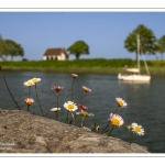 Les quais de la Somme à Saint-Valery