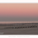 Berck_20_01_2017_001-border