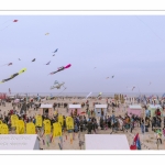 Les Rencontres Internationales de Cerfs-Volants 2018 à Berck-sur-mer -  RICV 2018