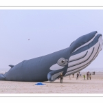 Les Rencontres Internationales de Cerfs-Volants 2018 à Berck-sur-mer -  RICV 2018