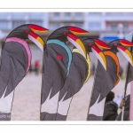 Les Rencontres Internationales de Cerfs-Volants 2018 à Berck-sur-mer -  RICV 2018