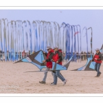 Les Rencontres Internationales de Cerfs-Volants 2018 à Berck-sur-mer -  RICV 2018