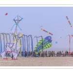 Les Rencontres Internationales de Cerfs-Volants 2018 à Berck-sur-mer -  RICV 2018